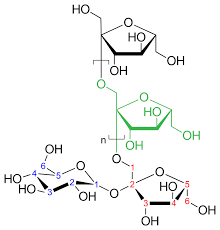 Inulin